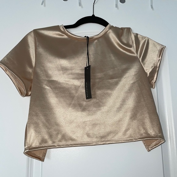 electrica Tops - NWT Electrica short sleeve crop top with open back in Shimmery Cream Size L
